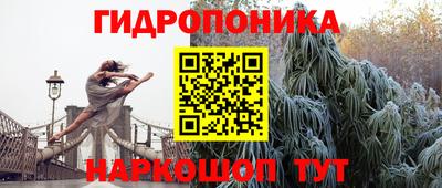 прущие крисы Аргун